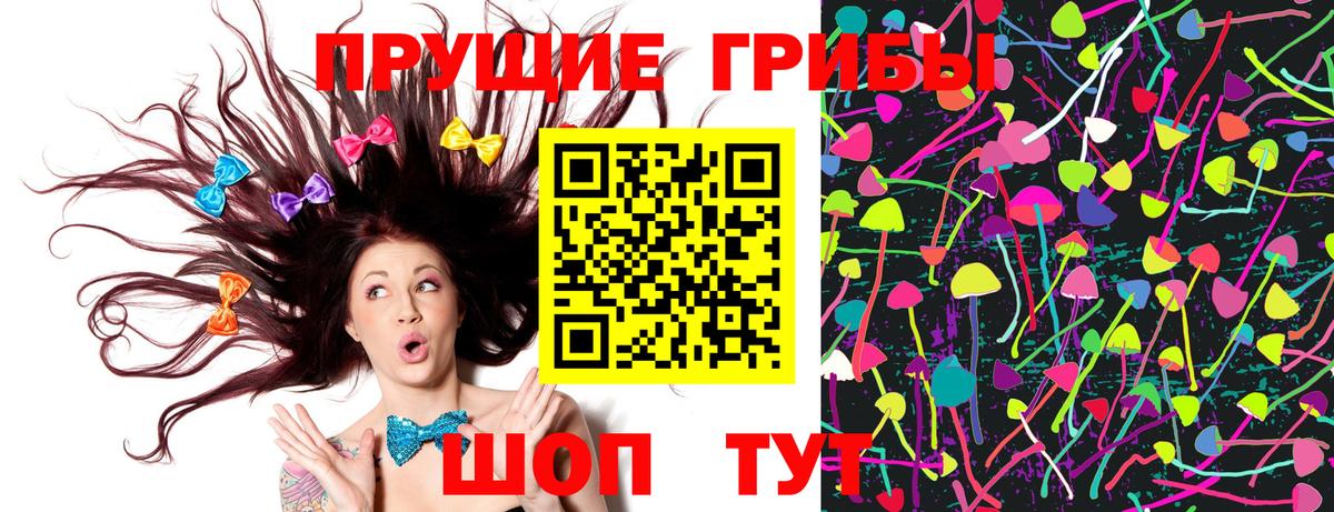 Черкесск  Псилоцибиновые грибы ЛСД  Вход с VPN  Псилоцибиновые грибы ЛСД 